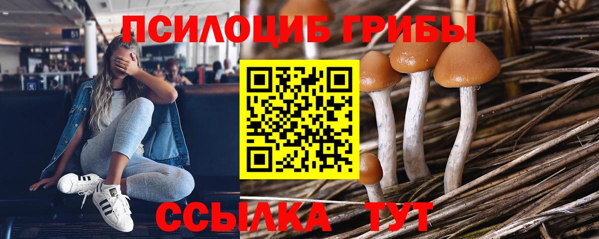 магазин  наркотиков  Псилоцибиновые грибы Magic Shrooms  Вход с VPN  Волжский 