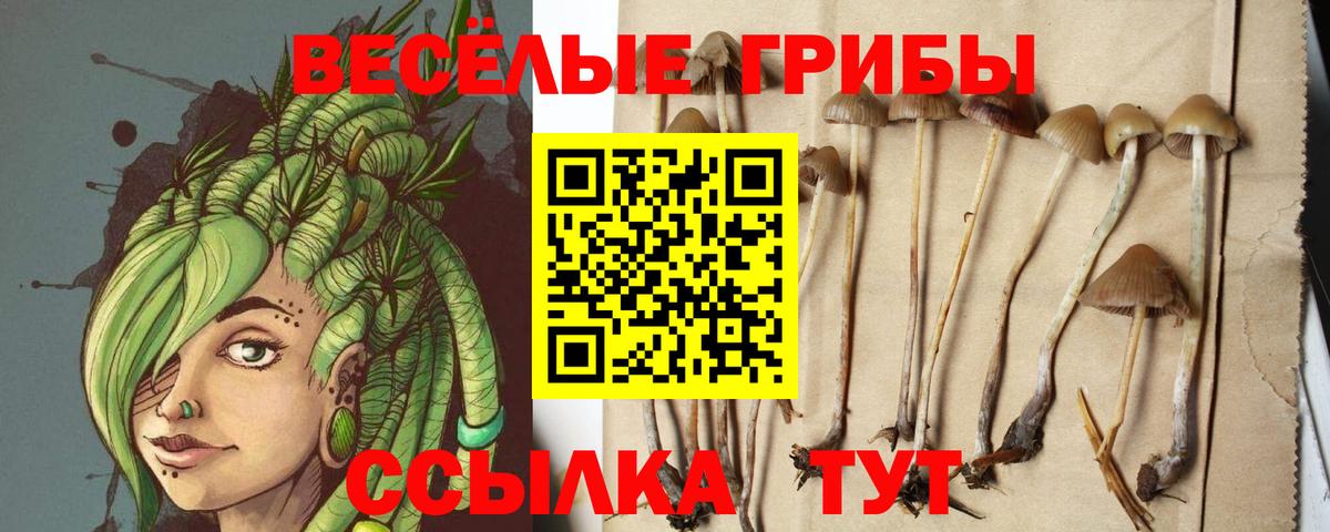 Псилоцибиновые грибы MAGIC MUSHROOMS Волжский